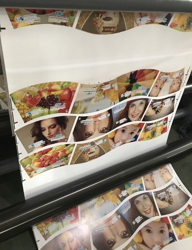多色自動登録 PEカップ フレックス印刷機